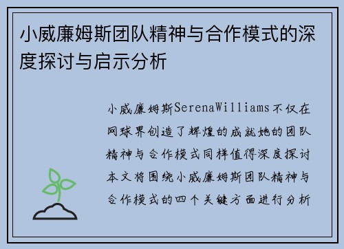小威廉姆斯团队精神与合作模式的深度探讨与启示分析