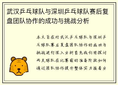 武汉乒乓球队与深圳乒乓球队赛后复盘团队协作的成功与挑战分析