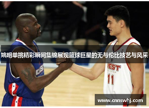 姚明单挑精彩瞬间集锦展现篮球巨星的无与伦比技艺与风采